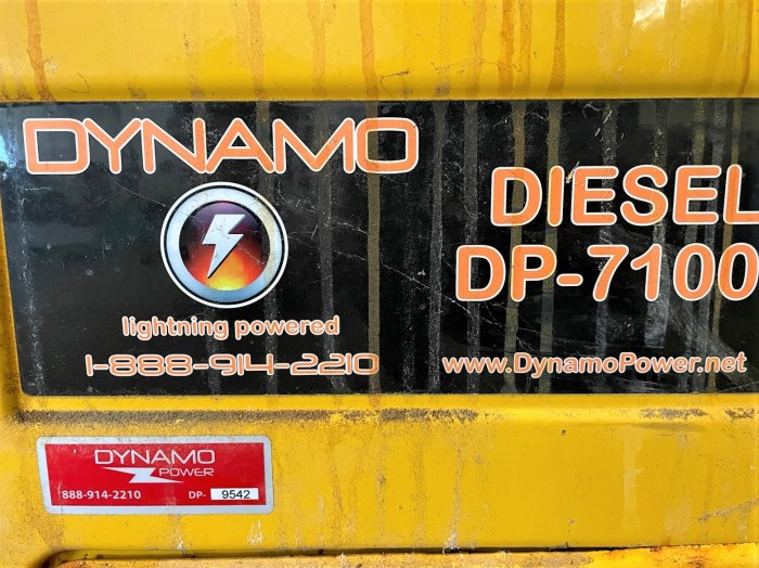 Dynamo Power DP7100 Diesel Generator for sale